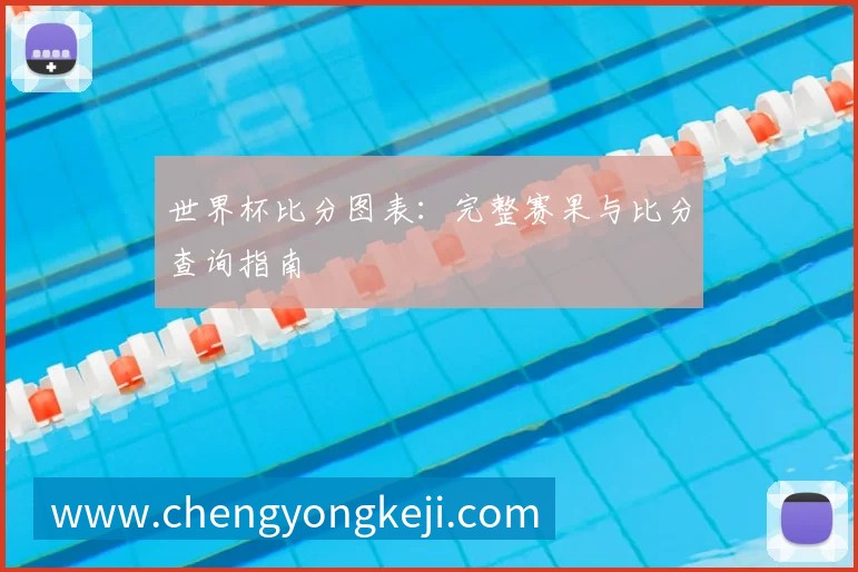 世界杯比分图表：完整赛果与比分查询指南