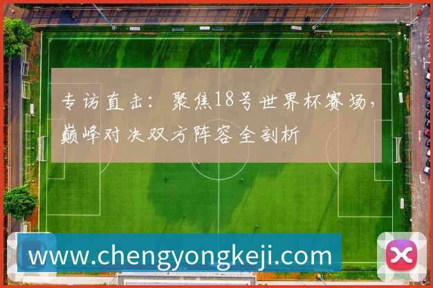 专访直击：聚焦18号世界杯赛场，巅峰对决双方阵容全剖析